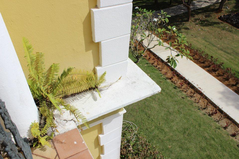 Hacienda Irurena o Labadie - Palacete Los Moreau - Mansion Labadie (1905) - Moca - 2013 00058